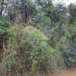 Terreno à venda no condomínio Alpes da Cantareira, Mairiporã - SP