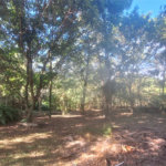 Chácara à venda com 2 quartos em Boa Vista, Salto de Pirapora, SP