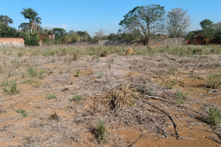 Terreno à venda em Jardim Colombo, Itapetininga, SP