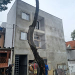 Apartamento à venda com 1 quarto em Vila Mazzei, São Paulo, SP