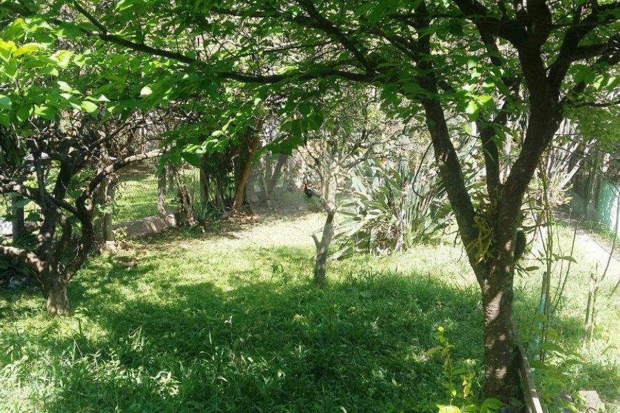 Casa à venda com 1 quarto em Parque Mandaqui, São Paulo, SP