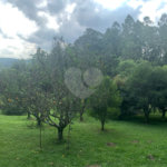 Chácara à venda em Sorocamirim (canguera), São Roque, SP