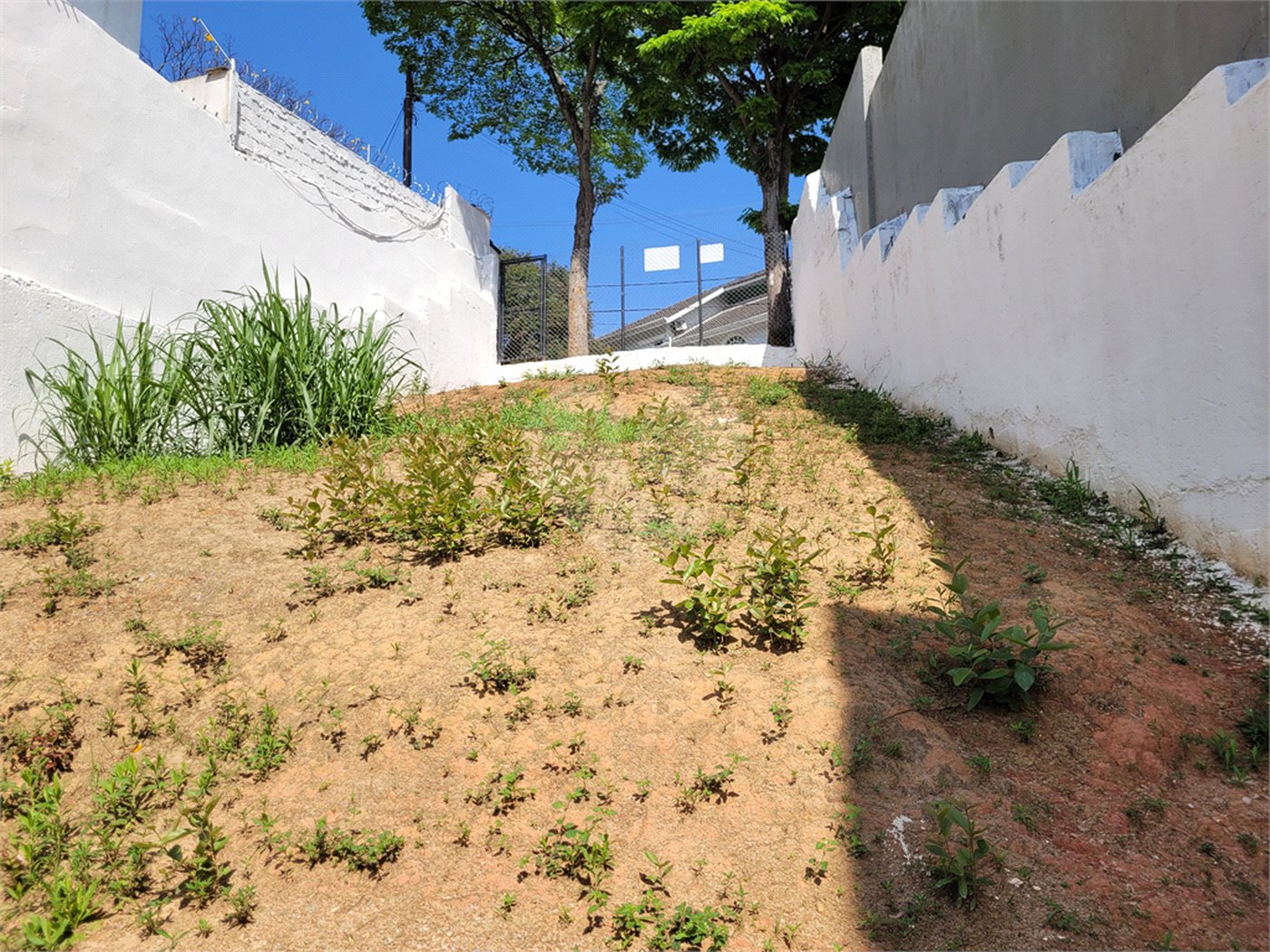 Sobrado à venda com 1 suíte em Tucuruvi, São Paulo, SP