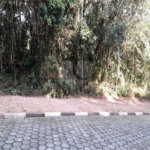 Terreno à venda em Serra da Cantareira, Mairiporã, SP