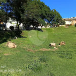 Terreno à venda em Vila Irene, São Roque, SP