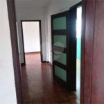 Apartamento para alugar com 1 quarto em Cambuci, São Paulo, SP