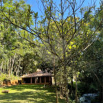 Sítio à venda com 4 quartos, sendo 1 suíte,  em Moinho, Nazaré Paulista, SP