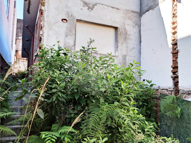 Terreno à venda em Vila Guilherme, São Paulo, SP