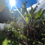 Casa à venda com 2 quartos, sendo 1 suíte, no Centro, Sarapuí, SP