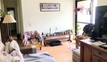 Apartamento à venda com 2 quartos, sendo 1 suíte,  em Santana, São Paulo, SP