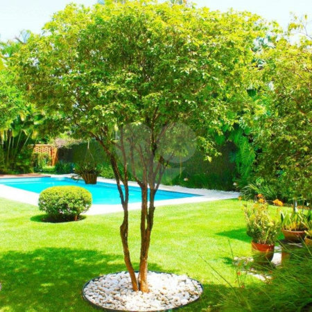 Casa à venda com 4 suítes em Alto da Boa Vista, São Paulo, SP