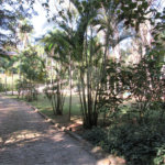 Terreno à venda no condomínio Chácara Flora, São Paulo - SP