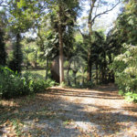 Terreno à venda no condomínio Chácara Flora, São Paulo - SP