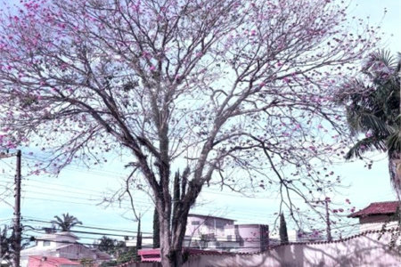 Casa à venda com 4 quartos, sendo 2 suítes,  em Vila Oliveira, Mogi das Cruzes, SP