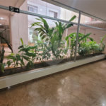 Apartamento à venda com 2 quartos em Aclimação, São Paulo, SP