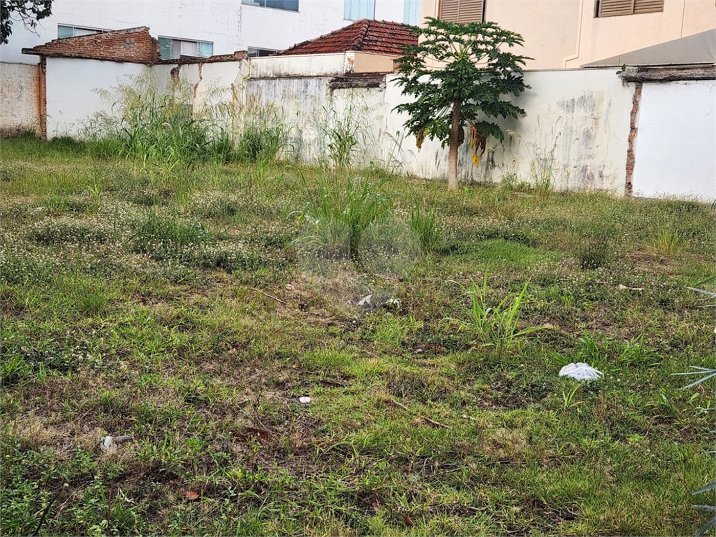 Terreno para alugar no Centro, Araraquara, SP