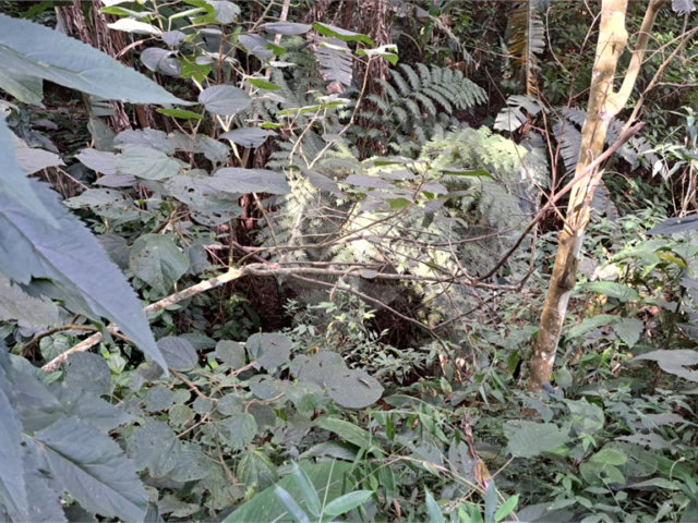 Terreno à venda em Serra da Cantareira, Mairiporã, SP
