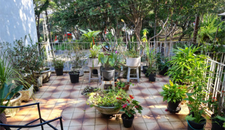 Casa à venda com 3 quartos em Jardim Bonfiglioli, São Paulo, SP