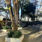 Apartamento à venda com 2 quartos em Mandaqui, São Paulo, SP