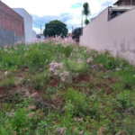 Terreno à venda no Jardim Embaré, (10x32) 320m².