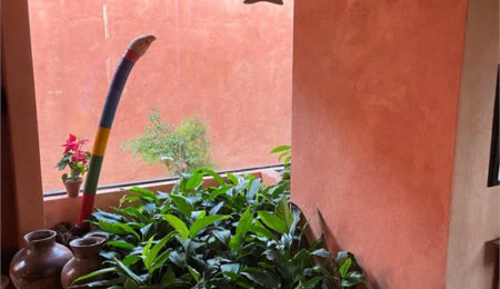Casa à venda ou para alugar com 4 quartos, sendo 3 suítes,  em Jardim Leonor, São Paulo, SP