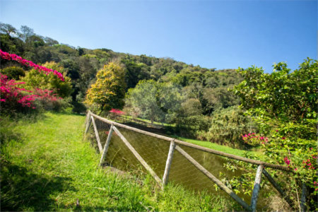 Sítio à venda em Vila Darcy Penteado (mailasqui), São Roque, SP