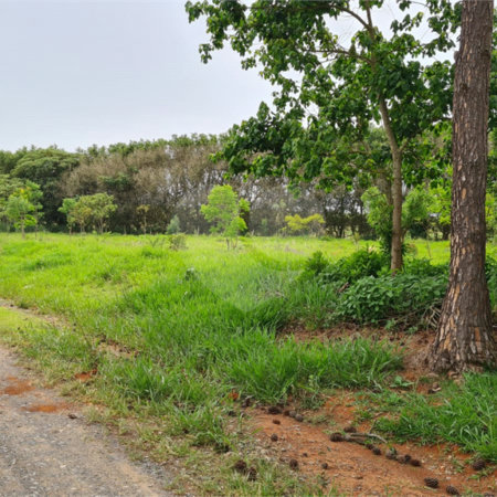 Terreno à venda em Portal da Figueira, Itapetininga, SP
