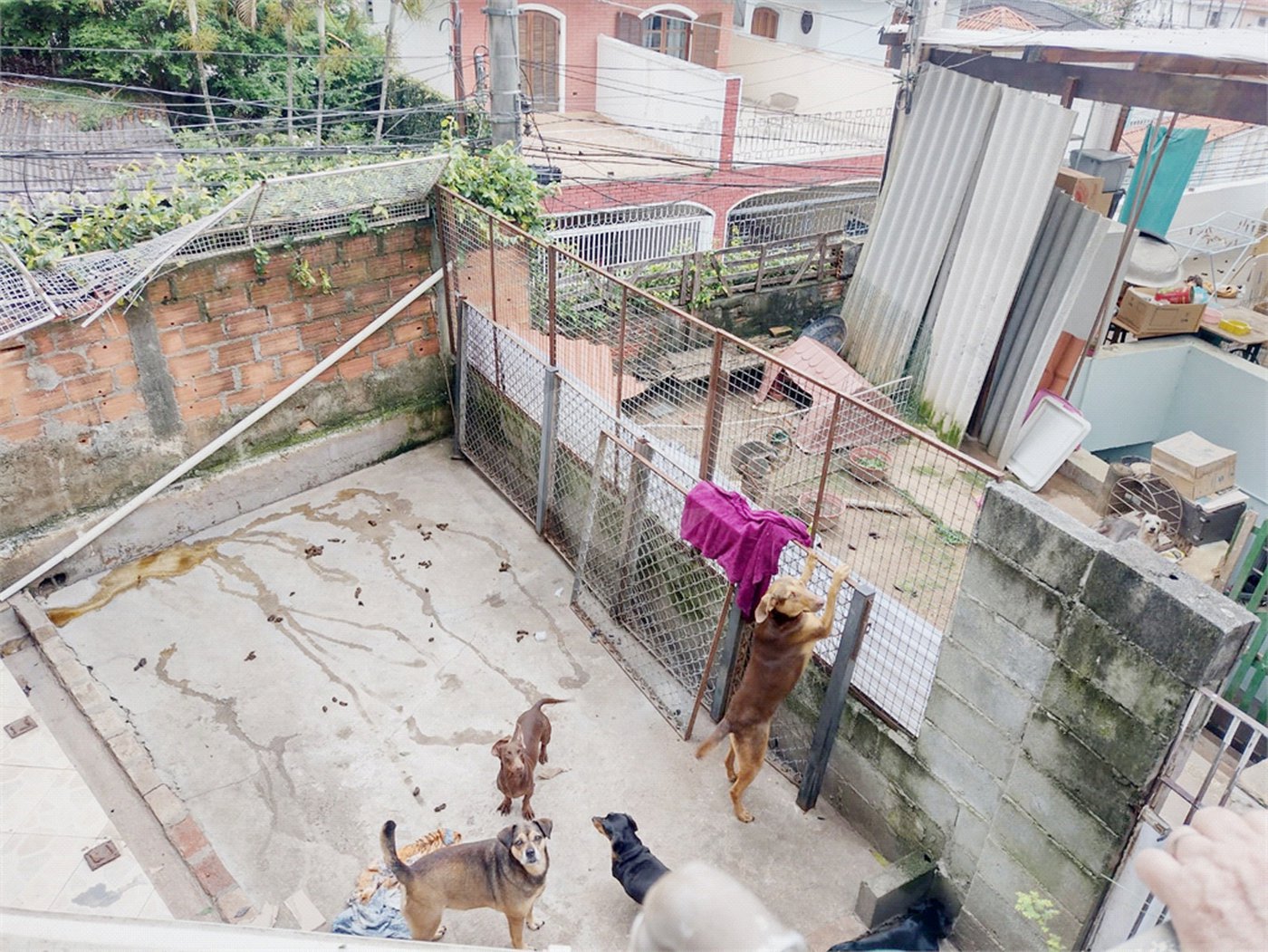 Sobrado à venda com 3 quartos em Tremembé, São Paulo, SP