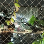 Apartamento à venda com 3 quartos em Vila Nova Cachoeirinha, São Paulo, SP