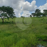 Sitio para venda.