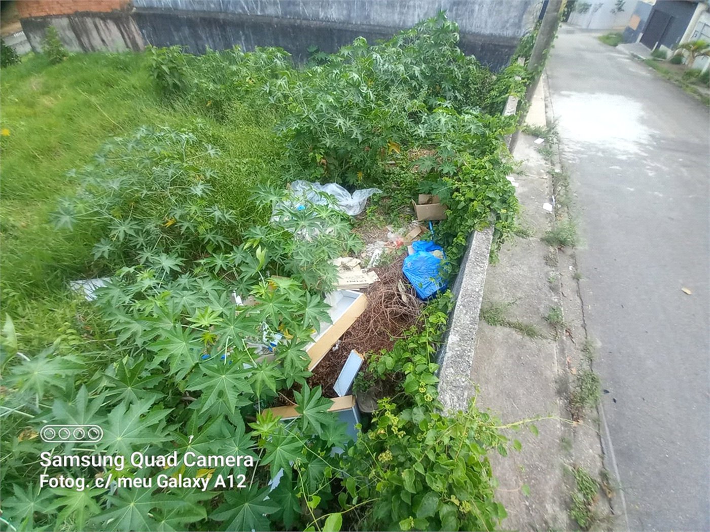 Terreno à venda em Vila Oliveira, Mogi das Cruzes, SP