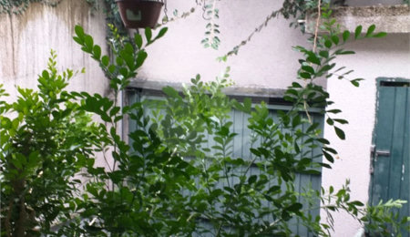 Sobrado à venda com 3 quartos, sendo 1 suíte, em Jaçanã, São Paulo, SP