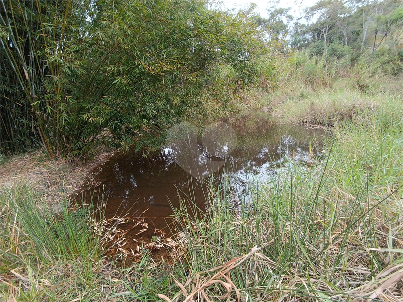 Terreno à venda em Vila Junqueira, São Roque, SP
