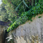 Terreno à venda em Vila Irmãos Arnoni, São Paulo, SP