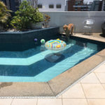 Cobertura à venda com 2 suítes em Vila Suzana, São Paulo, SP