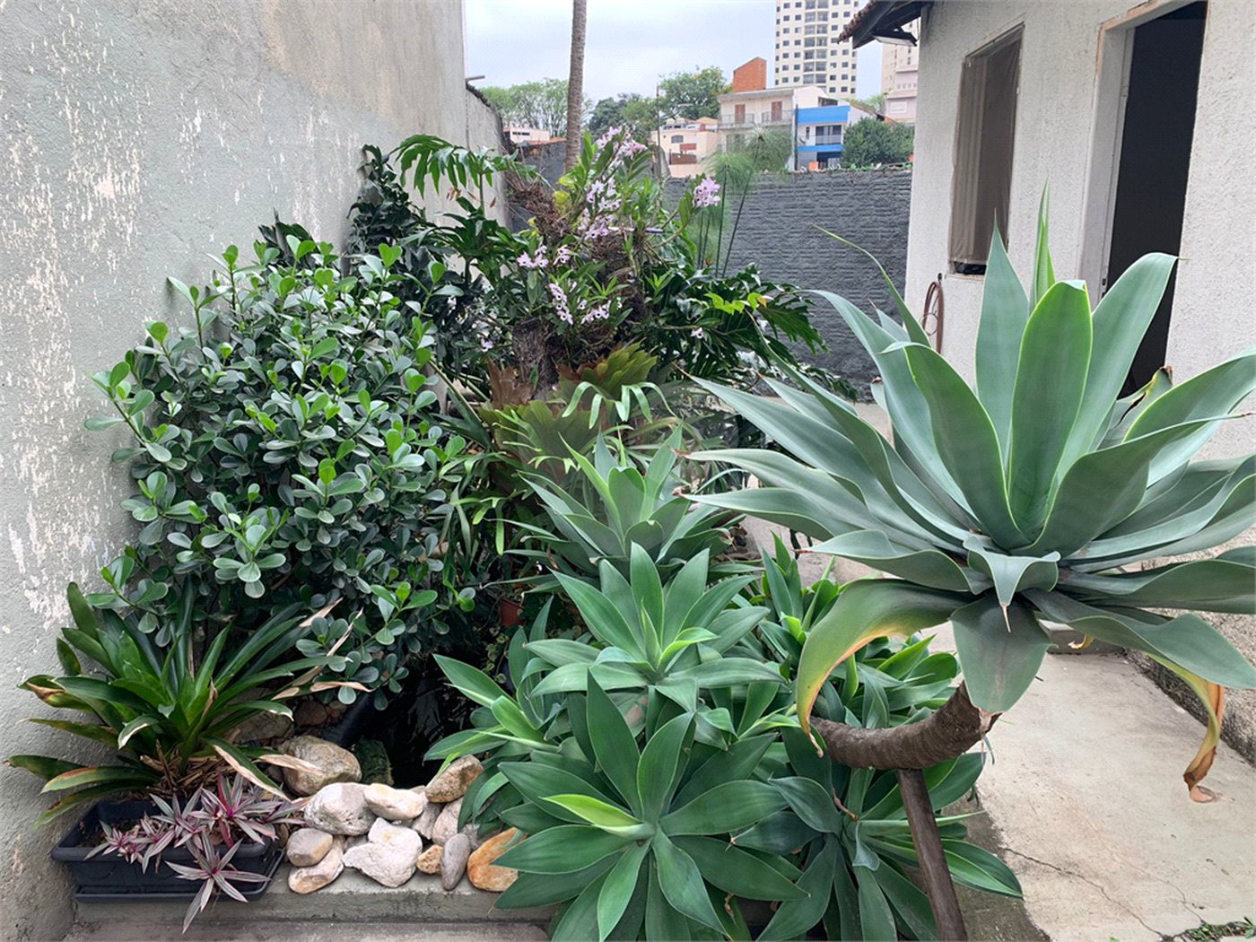 Casa à venda com 4 quartos em Vila Ipojuca, São Paulo, SP