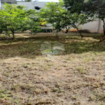 Casa à venda com 1 quarto em Campo Grande, Rio de Janeiro, RJ