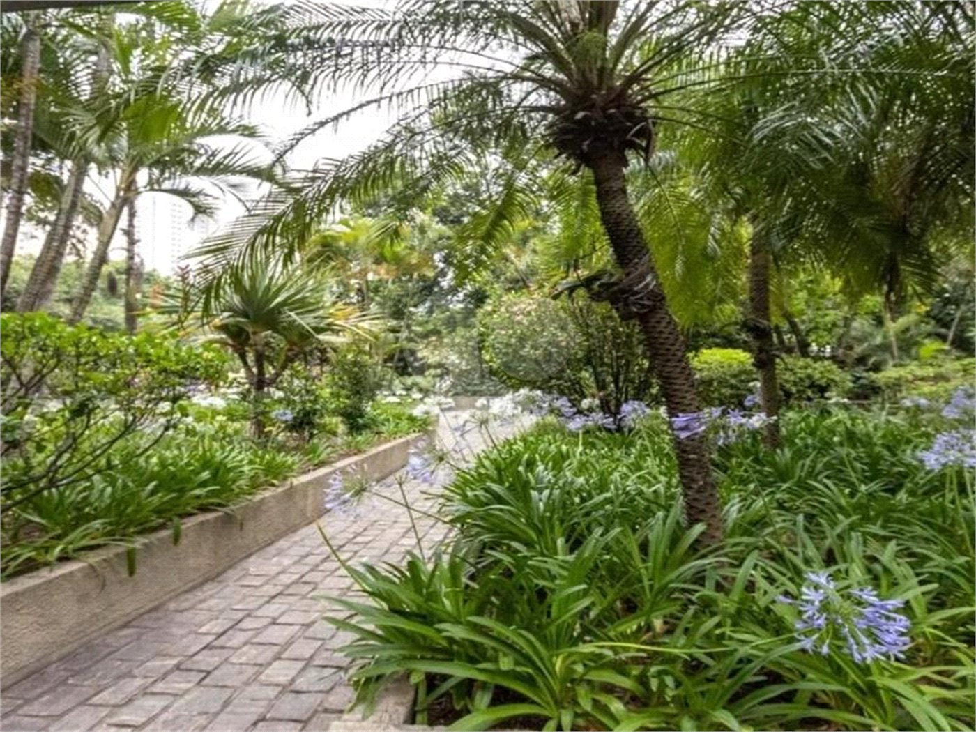 Apartamento à venda com 3 quartos, sendo 1 suíte, em Perdizes, São Paulo, SP