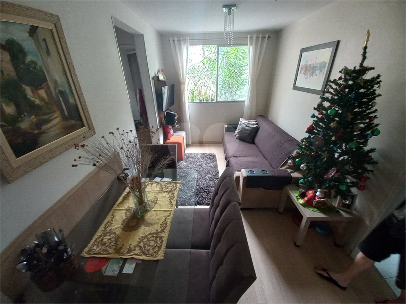 Apartamento à venda com 3 quartos em Paraisópolis, São Paulo, SP