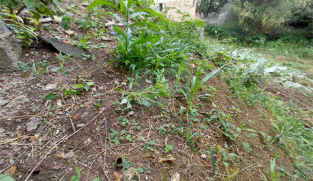 Terreno à venda em Tucuruvi, São Paulo, SP