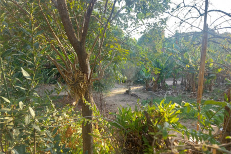 Terreno à venda em Santa Claudina, Vinhedo, SP