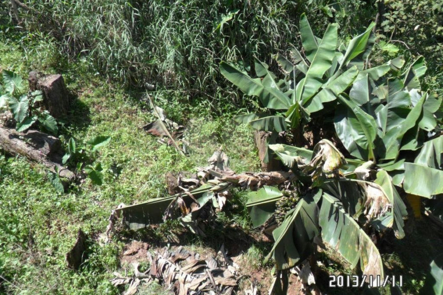 Terreno à venda em Horto Florestal, São Paulo, SP
