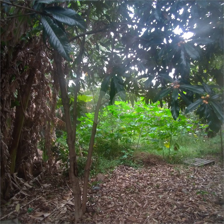 Terreno à venda em Casa Verde, São Paulo, SP