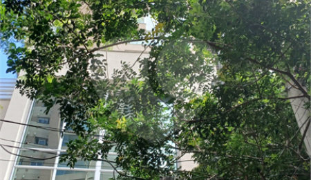 Apartamento à venda com 3 suítes em Jardim Fonte do Morumbi, São Paulo, SP