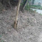 Terreno à venda no condomínio Altos da Baronesa, São Paulo - SP