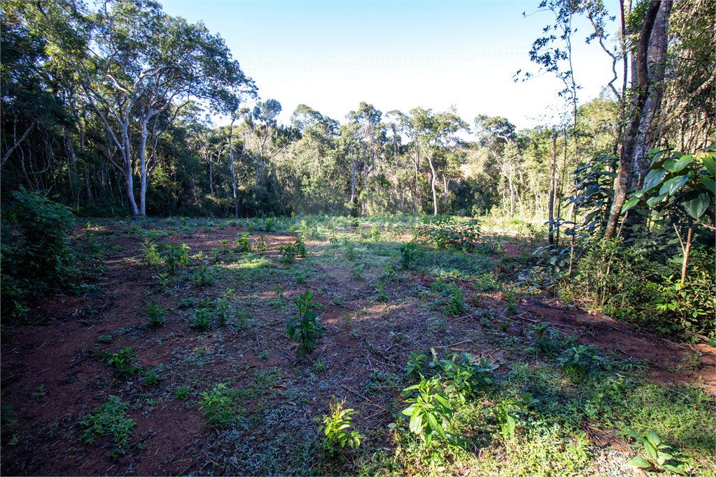 Terreno à venda no Centro (canguera), São Roque, SP