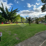 Apartamento à venda com 3 quartos em Jardim Jussara, São Paulo, SP