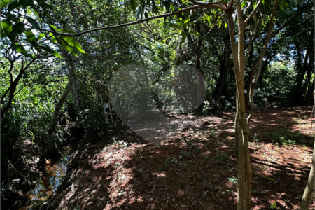 Terreno à venda em Residencial Emilio de Andrade, Ponta Porã, MS