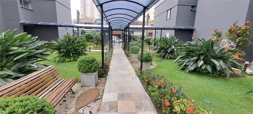 Apartamento para alugar com 2 quartos em Tucuruvi, São Paulo, SP