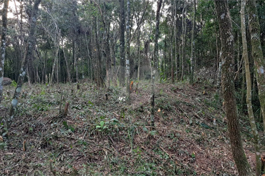 Terreno à venda em Serra da Cantareira, Mairiporã, SP